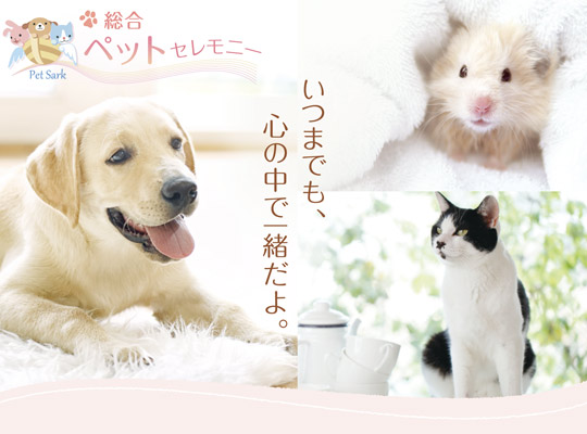 総合ペットセレモニー様DMチラシ